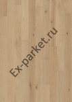   Upofloor,  Ambient