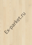   Upofloor,  Ambient