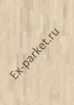   Upofloor,  Ambient