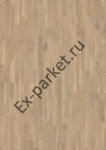   Upofloor,  Ambient