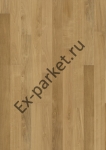   Upofloor,  Tempo