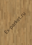   Upofloor,  Tempo