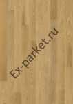   Upofloor,  Tempo