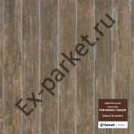   Tarkett (),  Performance Fashion