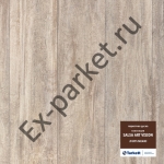   Tarkett (),  Salsa Art Vision