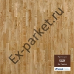   Tarkett (),  Salsa