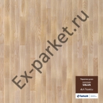   Tarkett (),  Salsa
