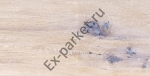     Ruscork,  PrintCork Home Premium