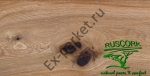     Ruscork,  PrintCork Home Premium