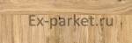     Ruscork,  PrintCork Vita Decor