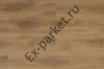  Belfloor,  Emotions