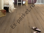  Belfloor ()