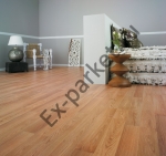  Belfloor ()