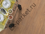  Belfloor ()