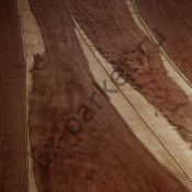   Bolefloor ()