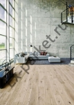   Bolefloor ()