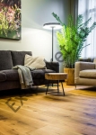   Bolefloor ()