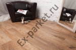  Belfloor,  French