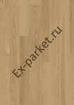   Upofloor,  New Wave
