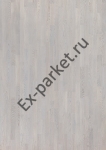   Upofloor,  New Wave