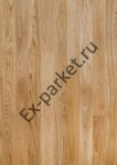   Upofloor,  New Wave