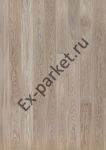   Upofloor,  New Wave