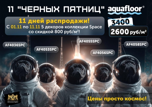 11.11  -800/2  Aquafloor Space